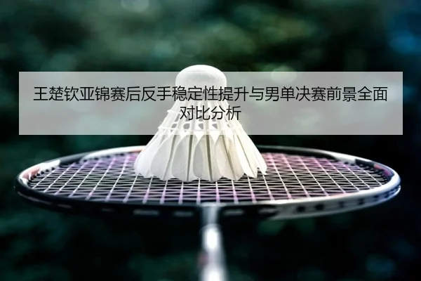 王楚钦亚锦赛后反手稳定性提升与男单决赛前景全面对比分析